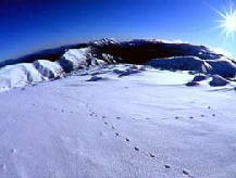 Snowy
Mountains